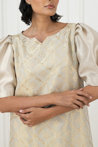 Printed shantung A line dress